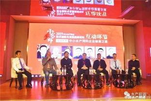 文峰最新爆料,揭秘娱乐圈不为人知的秘密